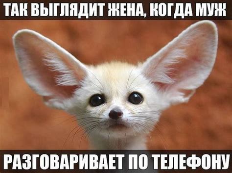 Прикольные картинки про мужа (50+ фото) • Лучшие картинки
