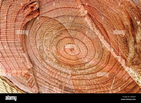 sawn wood surface stock photo alamy