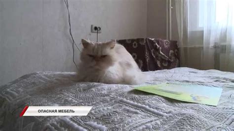 Может ли новая мебель навредить здоровью - YouTube