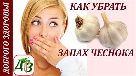 ЗАПАХ ЧЕСНОКА ☼ Как Быстро Избавиться от Запаха Чеснока изо Рта - YouTube