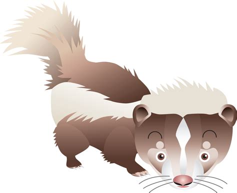 Скунс PNG
