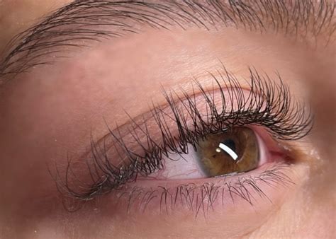 lashes lashes  sabryna ocala lash technician