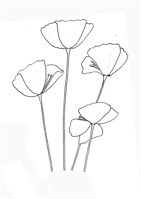 Coloring Pages | Printable Poppy Flower Coloring Pages for Kids