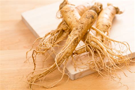 ginseng  ancient root  modern health benefits synergy
