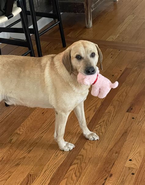 wild animal rescue cincinnati 7