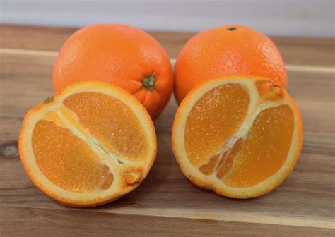 Washington Navel Orange Tree - Paradise Nursery | Апельсин, Фруктовые ...