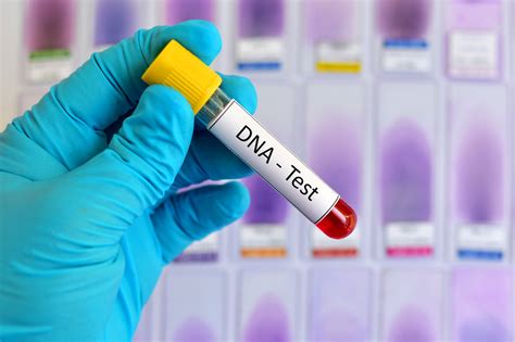 The Best DNA Testing kits To Learn About Health, Ancestry