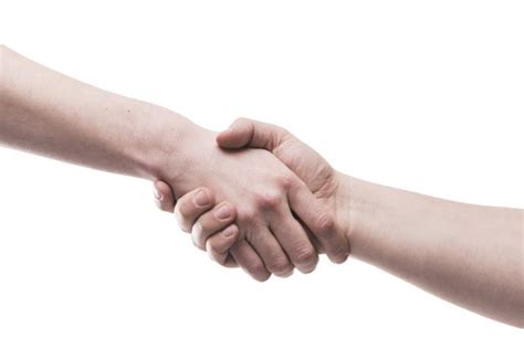 Premium Photo | Two hands in handshake | Hand