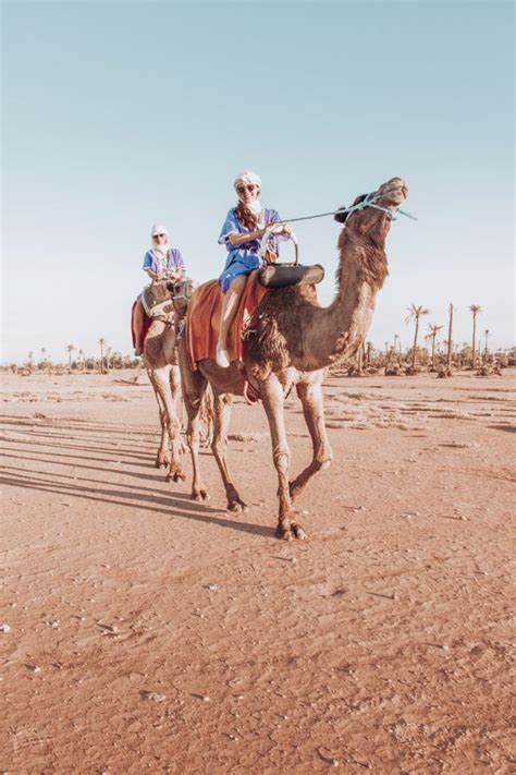 Marrakech-Camel-Ride | Marrakech, Camel, Riding