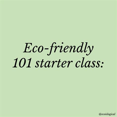 eco friendly minimalist top beginners tips ecoislogical