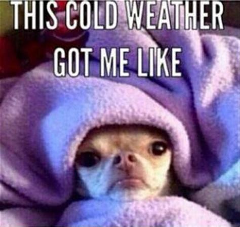 25 Cute Cold Weather Quotes | Page 4 of 5 | QuotesHumor.com