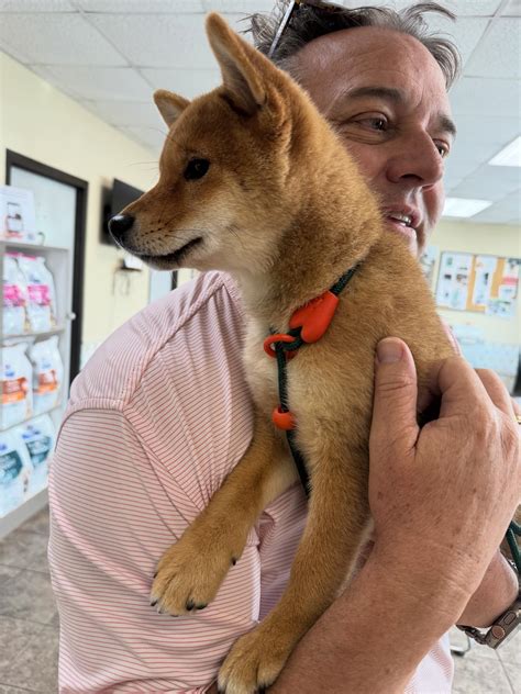 hillsboro animal hospital nashville 5