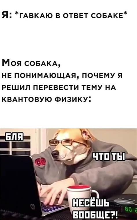МеМаСЫ