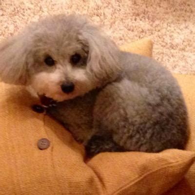 debra balka (@BalkaDebra) | Twitter
