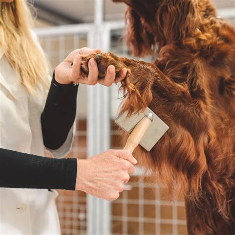 how to care for fur coat