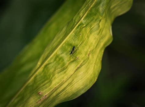 fotos  imagenes de fotos lindas gratis banco de fotos gratis