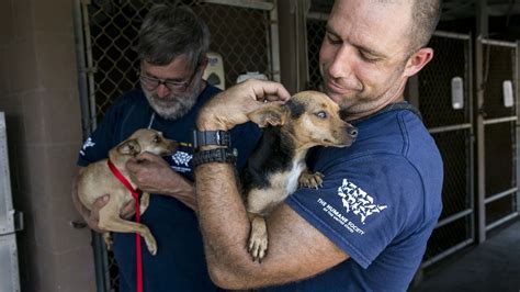 A Beautiful World: Rescuing animals in winter | MPR News