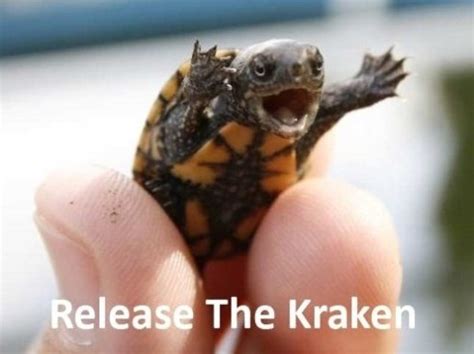 Funny Kraken Pictures