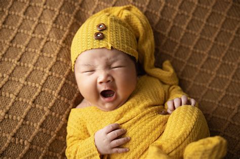 10,000+ Free Baby Axolotl & Baby Photos - Pixabay