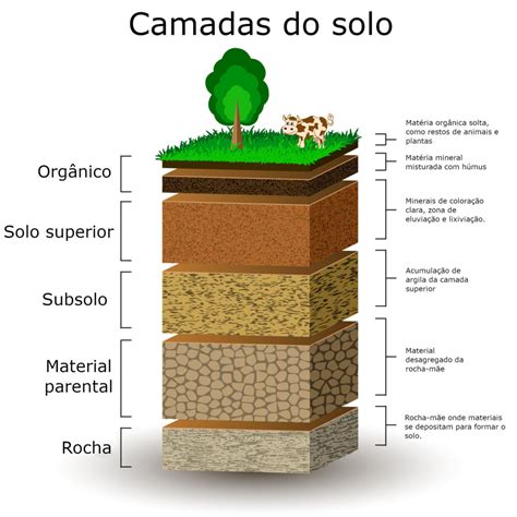 De Onde É Originada A Parte Mineral Do Solo