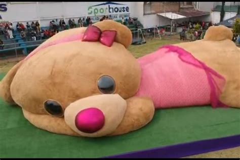 Watch: World's largest teddy bear certified in Mexico - UPI.com