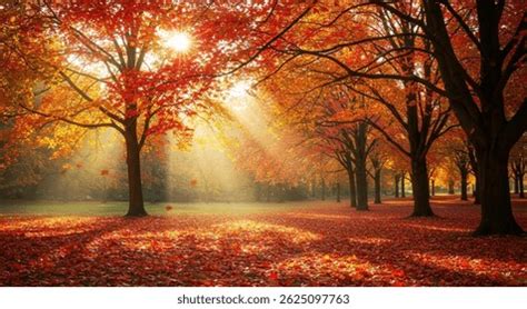 autumn landscapes royalty  images stock