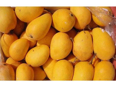 Fruits of Bangladesh You Should Know As A Bangladeshi