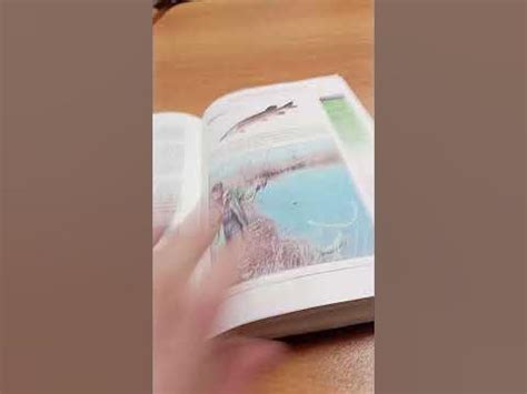книга про рыбалку - YouTube