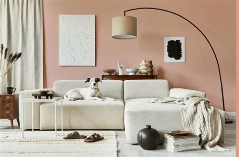 Sherwin Williams Smoky Salmon SW 6331: 30 real pictures