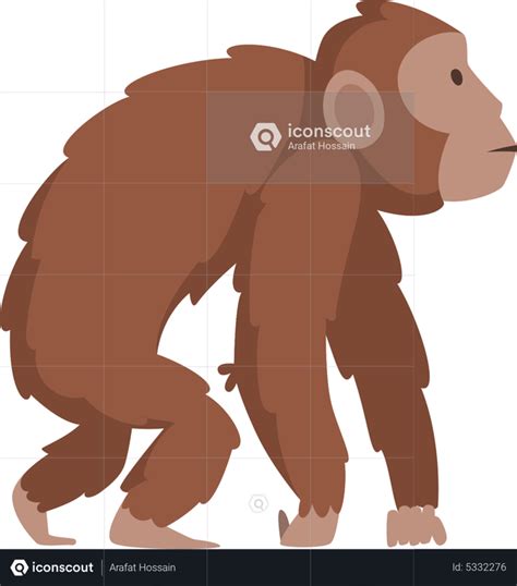Best Premium Homo Sapiens Illustration download in PNG & Vector format