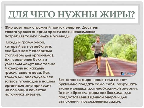 Жиры в организме человека - презентация онлайн