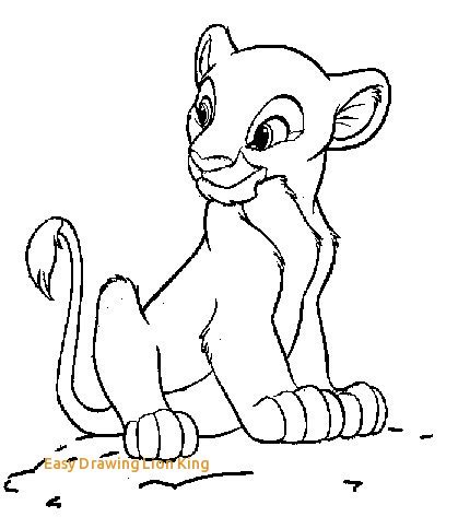 Lion Cub Drawing Easy at PaintingValley.com | Explore collection of ...