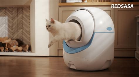 The Ultimate Guide to Automatic Cat Litter Boxes | REDSASA