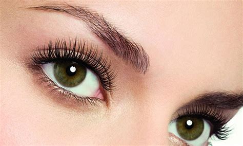 luchshikh krasok dlya brovey reyting