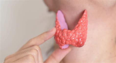 how long does it take for thyroid levels to stabilize