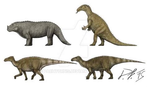The Opinion To Iguanodon - Dinomake