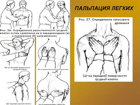 Методы исследования в торакальной хирургии - презентация онлайн