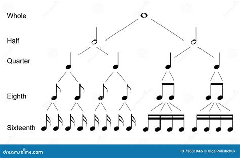 Tipi di note musicali illustrazione di stock. Illustrazione di spigola ...
