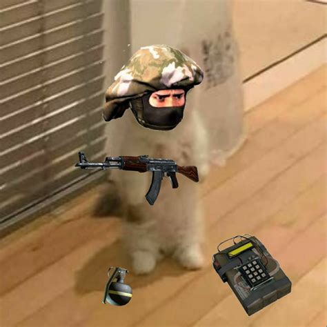 Standing cat meme pfp | Cs go funny, Funny hamsters, Memes