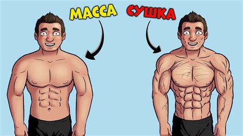 Масса или Сушка? С чего начать? - YouTube