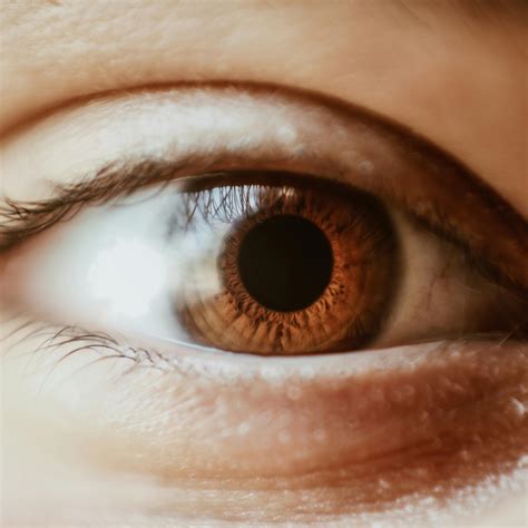 eye diagram      eye diagram stock
