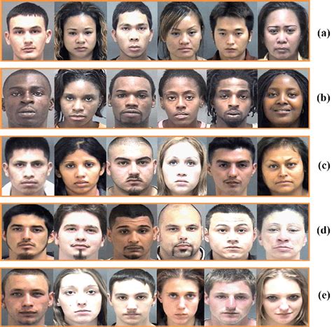 Face image examples of Asian (a), African (b), Hispanic (c), other (d ...