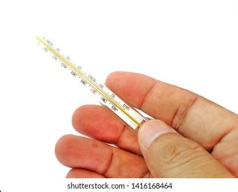 Hand Holding Thermometer White Background Stock Photo 1416168464 ...