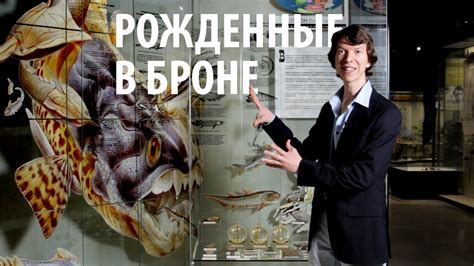 РОЖДЕННЫЕ В БРОНЕ. Эволюция рыб 2. Ярослав Попов | Палеонтологические ...