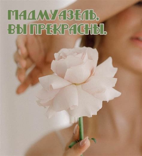 Самые красивые комплименты девушке (100 фото) 🔥 Прикольные картинки и юмор