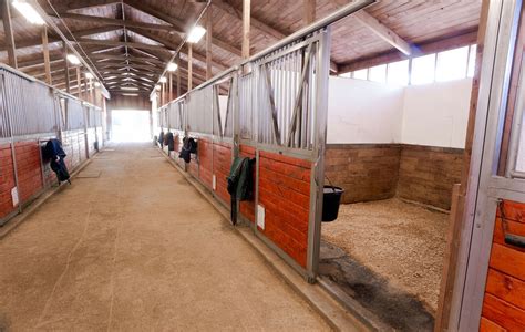 horse stall flooring 4