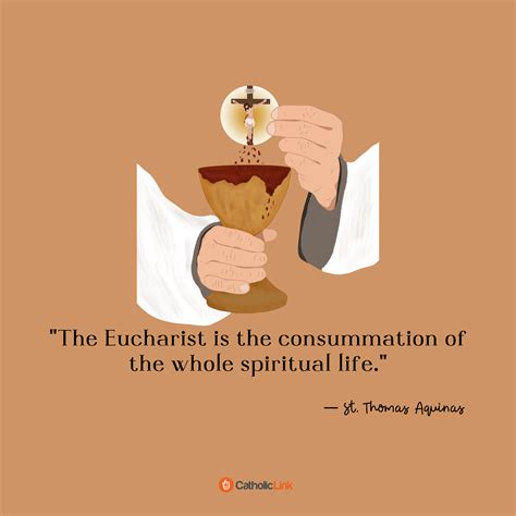 catechism quotes   eucharist  carla apgar blog
