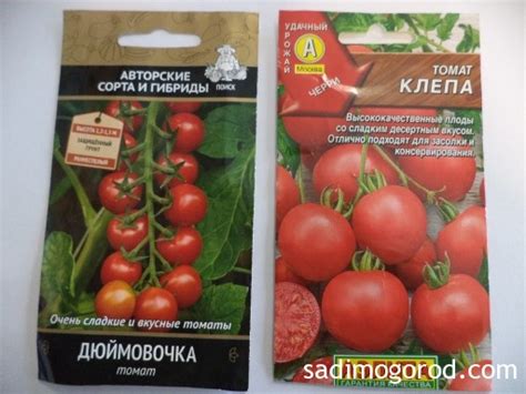 Лучшие сорта томатов черри