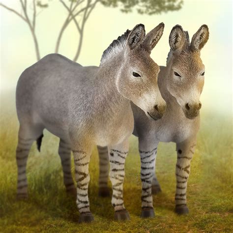 CollectA African Wild Ass – Animal Kingdoms Toy Store