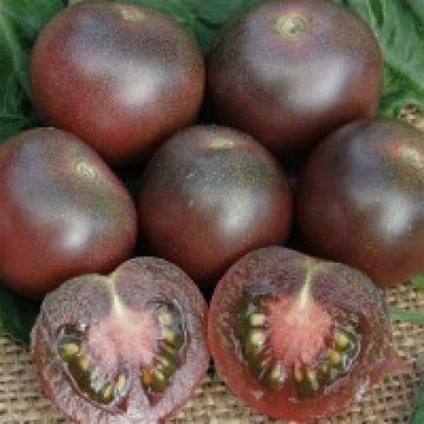 ЧЕРНЫЙ ЧЕРРИ | Heirloom seeds, Tomato, Tomato seeds